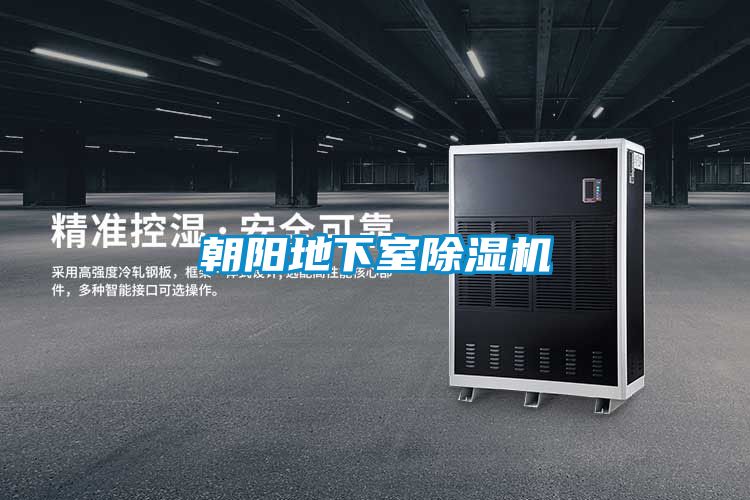 朝陽(yáng)地下室除濕機