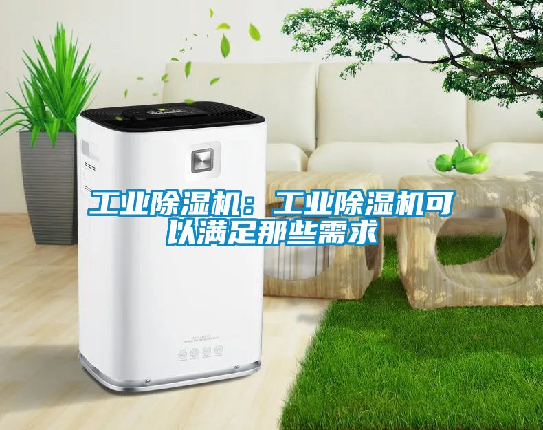 工業(yè)除濕機：工業(yè)除濕機可以滿足那些需求