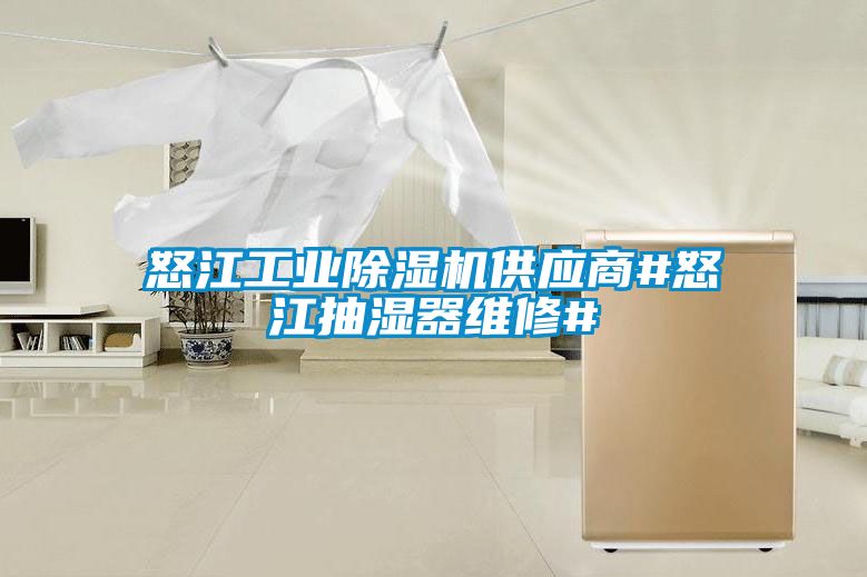 怒江工業(yè)除濕機供應(yīng)商#怒江抽濕器維修#