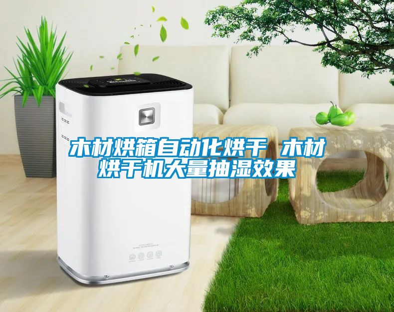 木材烘箱自動化烘干 木材烘干機大量抽濕效果