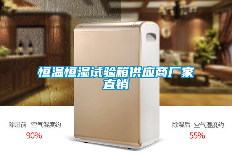 恒溫恒濕試驗箱供應商廠(chǎng)家直銷(xiāo)