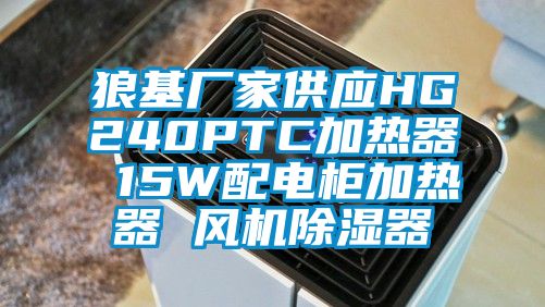 狼基廠(chǎng)家供應HG240PTC加熱器 15W配電柜加熱器 風(fēng)機除濕器