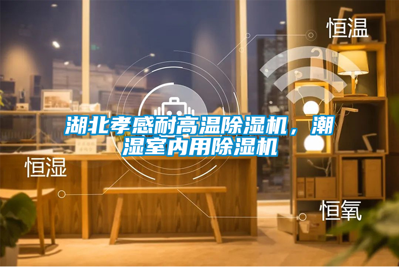 湖北孝感耐高溫除濕機(jī)，潮濕室內(nèi)用除濕機(jī)