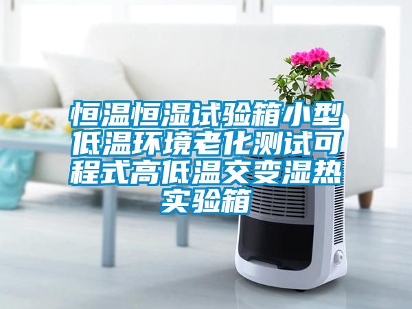恒溫恒濕試驗箱小型低溫環(huán)境老化測試可程式高低溫交變濕熱實(shí)驗箱