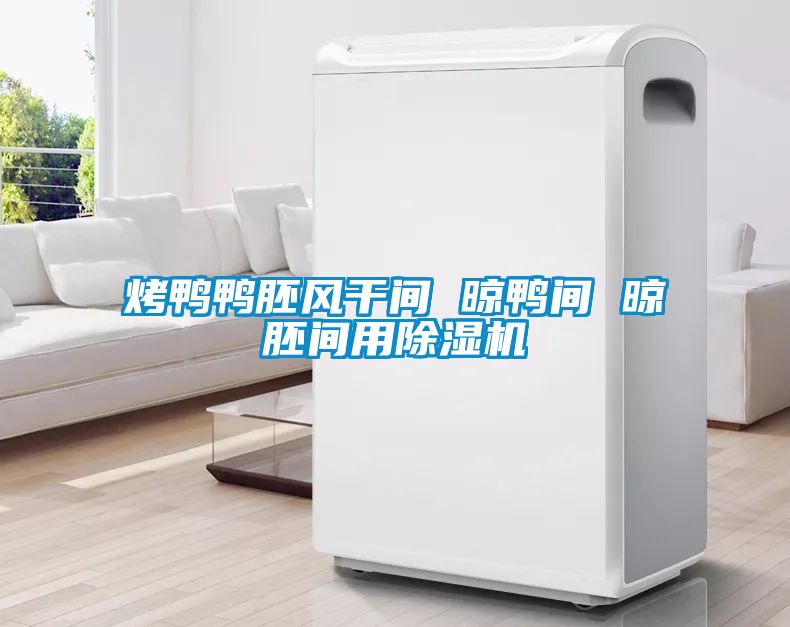 烤鴨鴨胚風干間 晾鴨間 晾胚間用除濕機