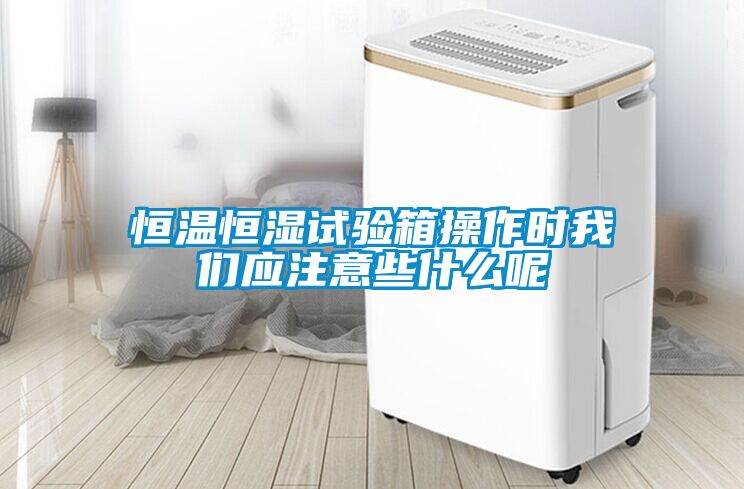 恒溫恒濕試驗箱操作時(shí)我們應注意些什么呢