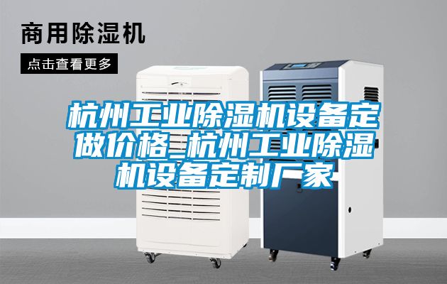 杭州工業(yè)除濕機設(shè)備定做價格_杭州工業(yè)除濕機設(shè)備定制廠家