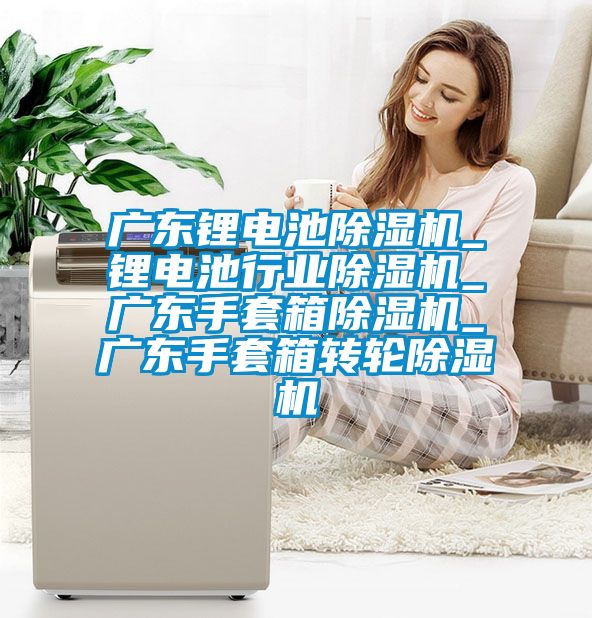 廣東鋰電池除濕機(jī)_鋰電池行業(yè)除濕機(jī)_廣東手套箱除濕機(jī)_廣東手套箱轉(zhuǎn)輪除濕機(jī)