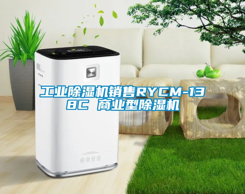 工業(yè)除濕機銷(xiāo)售RYCM-138C 商業(yè)型除濕機
