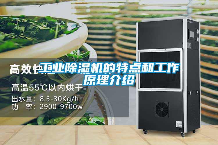 工業(yè)除濕機的特點和工作原理介紹