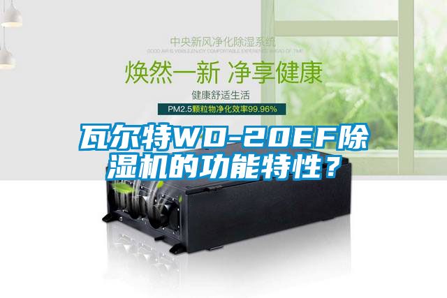 瓦爾特WD-20EF除濕機的功能特性？