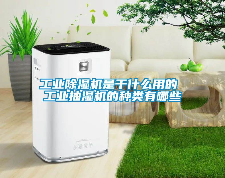 工業(yè)除濕機是干什么用的 工業(yè)抽濕機的種類有哪些