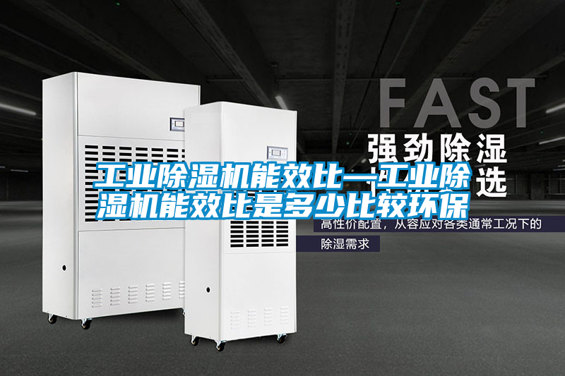 工業(yè)除濕機能效比—工業(yè)除濕機能效比是多少比較環(huán)保