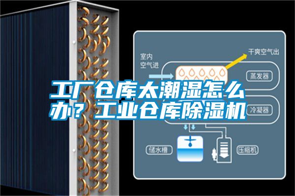 工廠(chǎng)倉庫太潮濕怎么辦？工業(yè)倉庫除濕機