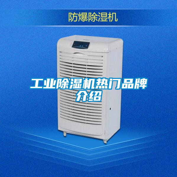 工業(yè)除濕機熱門(mén)品牌介紹