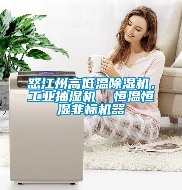 怒江州高低溫除濕機(jī)，工業(yè)抽濕機(jī)  恒溫恒濕非標(biāo)機(jī)器