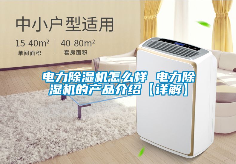 電力除濕機(jī)怎么樣 電力除濕機(jī)的產(chǎn)品介紹【詳解】