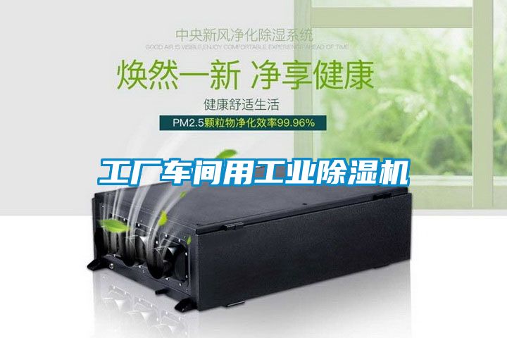 工廠車間用工業(yè)除濕機