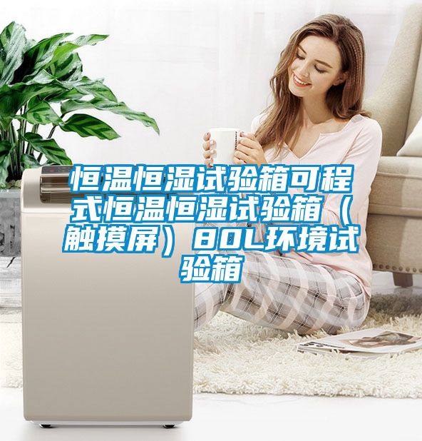 恒溫恒濕試驗箱可程式恒溫恒濕試驗箱（觸摸屏）80L環(huán)境試驗箱