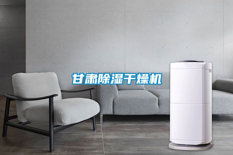 甘肅除濕干燥機(jī)