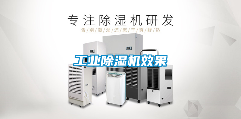 工業(yè)除濕機(jī)效果