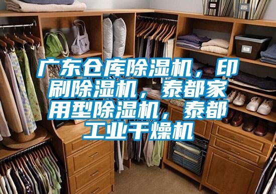 廣東倉庫除濕機，印刷除濕機，泰都家用型除濕機，泰都工業(yè)干燥機