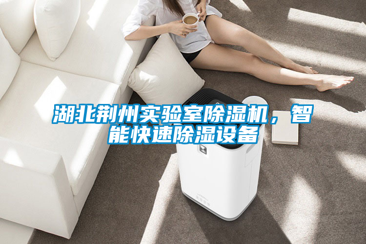 湖北荊州實(shí)驗室除濕機，智能快速除濕設備