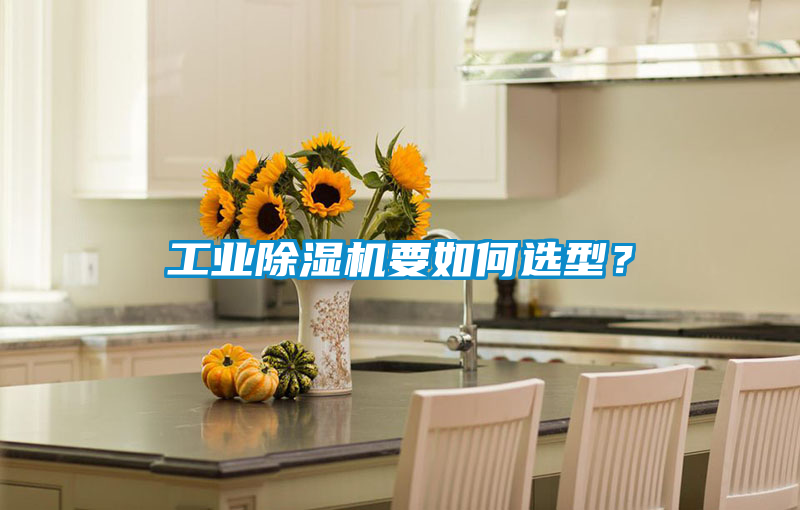 工業(yè)除濕機(jī)要如何選型？