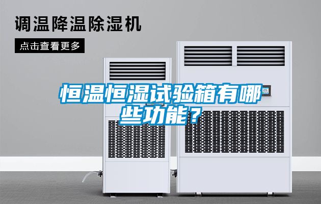 恒溫恒濕試驗箱有哪些功能？
