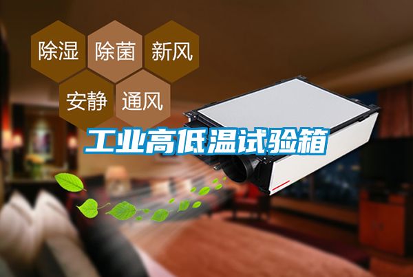 工業(yè)高低溫試驗箱
