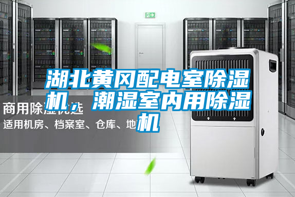 湖北黃岡配電室除濕機，潮濕室內用除濕機