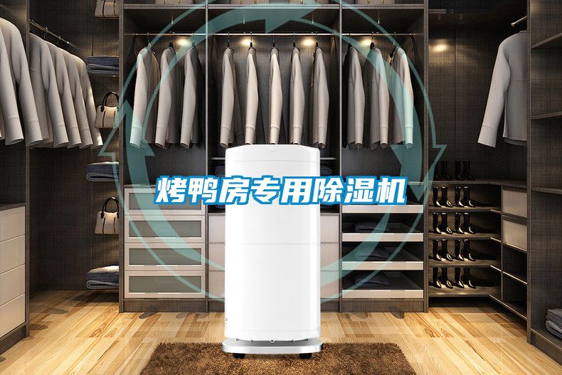 烤鴨房專(zhuān)用除濕機