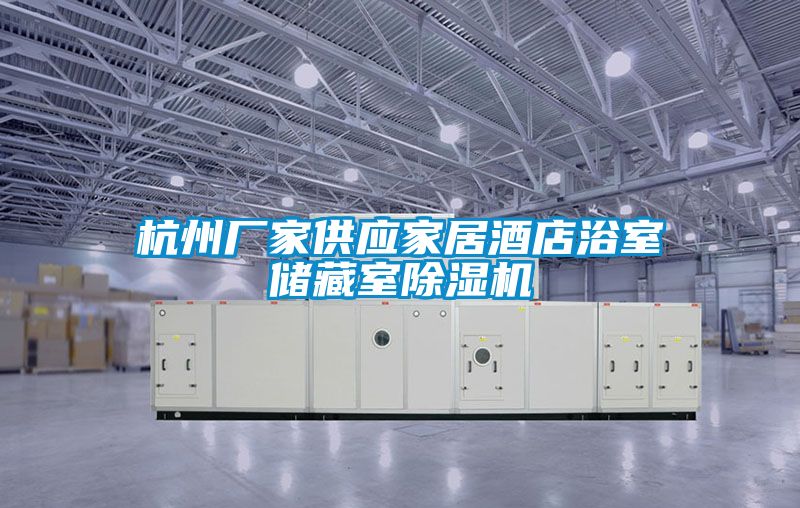 杭州廠(chǎng)家供應家居酒店浴室儲藏室除濕機
