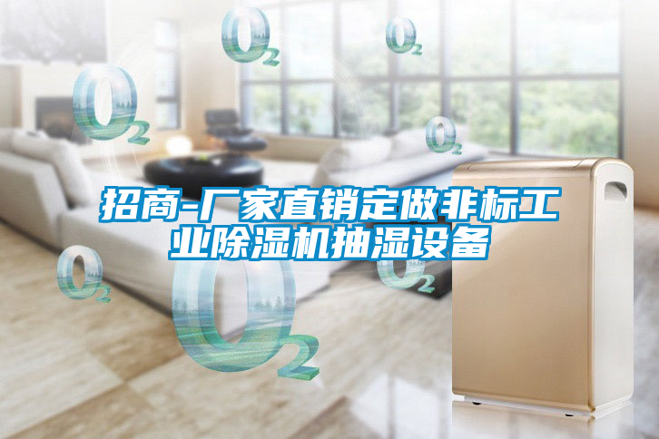 招商-廠(chǎng)家直銷(xiāo)定做非標工業(yè)除濕機抽濕設備