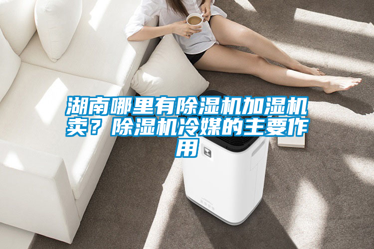 湖南哪里有除濕機(jī)加濕機(jī)賣？除濕機(jī)冷媒的主要作用