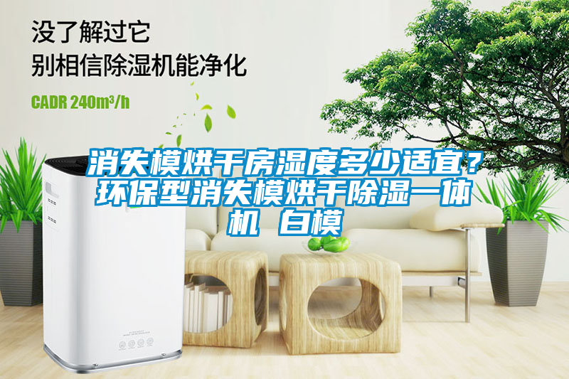 消失模烘干房濕度多少適宜？環(huán)保型消失模烘干除濕一體機(jī) 白模