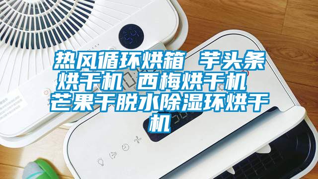 熱風(fēng)循環(huán)烘箱 芋頭條烘干機 西梅烘干機 芒果干脫水除濕環(huán)烘干機