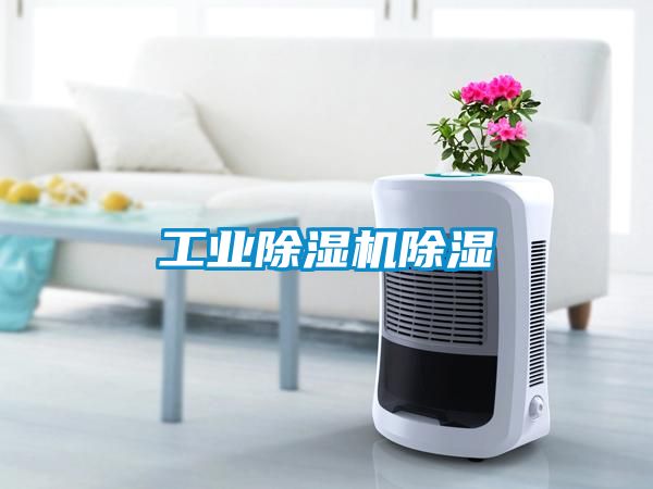 工業(yè)除濕機(jī)除濕