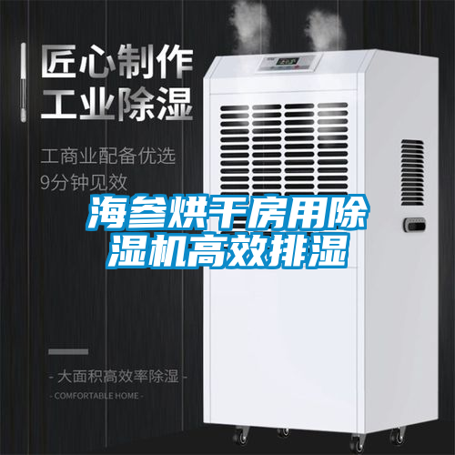 海參烘干房用除濕機(jī)高效排濕