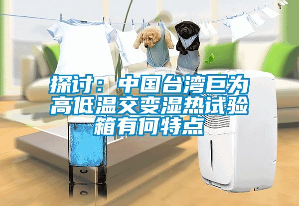 探討：中國臺灣巨為高低溫交變濕熱試驗箱有何特點(diǎn)