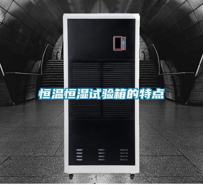 恒溫恒濕試驗箱的特點(diǎn)