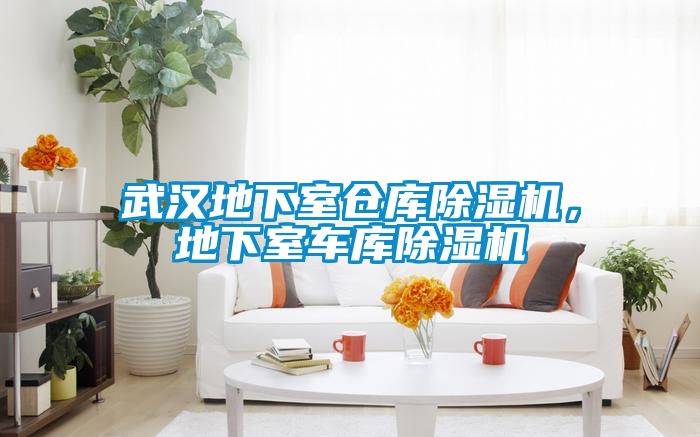 武漢地下室倉庫除濕機，地下室車(chē)庫除濕機