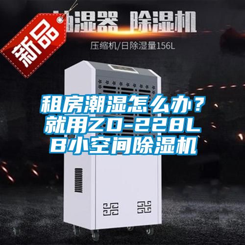 租房潮濕怎么辦？就用ZD-228LB小空間除濕機(jī)