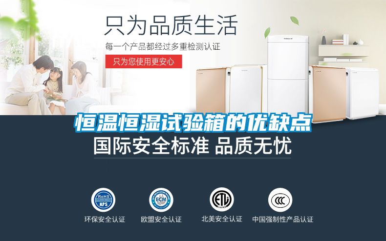 恒溫恒濕試驗箱的優(yōu)缺點(diǎn)
