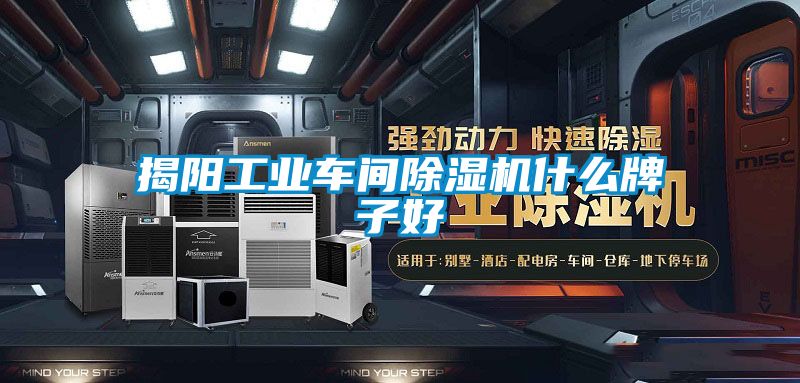 揭陽(yáng)工業(yè)車(chē)間除濕機(jī)什么牌子好