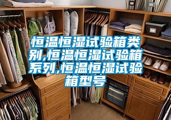 恒溫恒濕試驗箱類(lèi)別,恒溫恒濕試驗箱系列,恒溫恒濕試驗箱型號