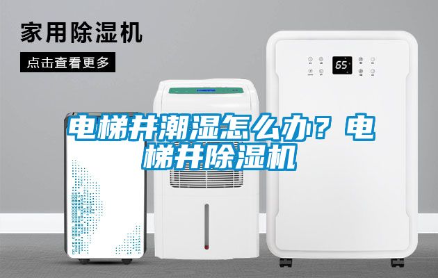 電梯井潮濕怎么辦？電梯井除濕機(jī)