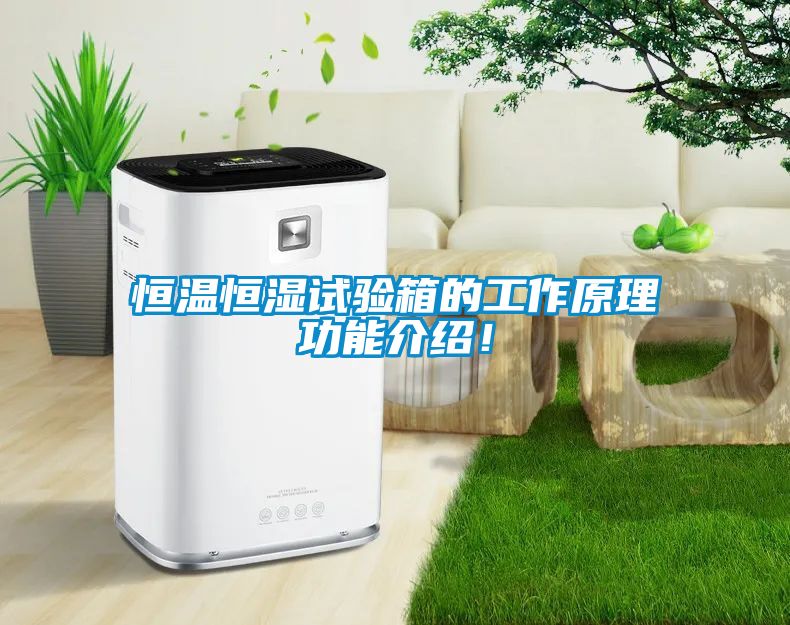 恒溫恒濕試驗箱的工作原理功能介紹！