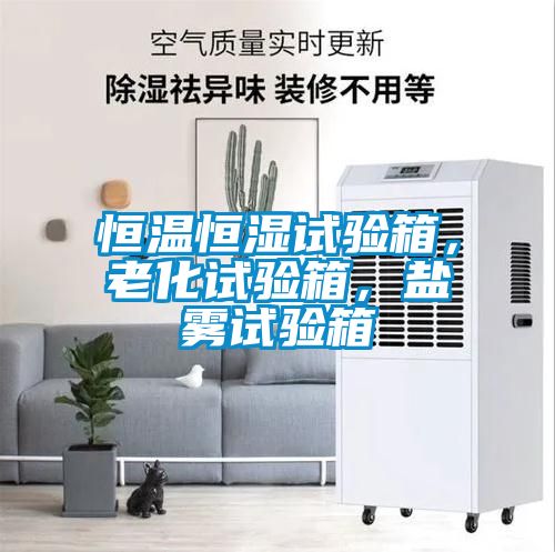 恒溫恒濕試驗箱，老化試驗箱，鹽霧試驗箱