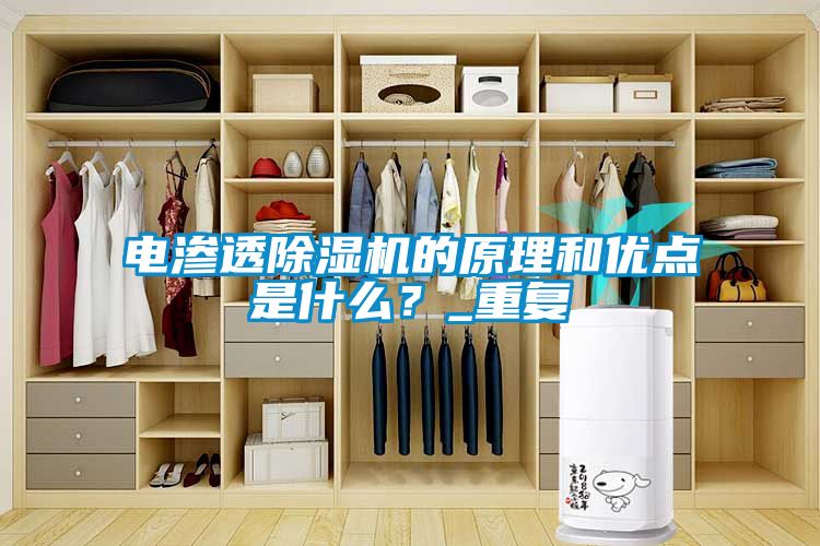 電滲透除濕機的原理和優(yōu)點(diǎn)是什么？_重復